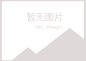 阜新紫山机械有限公司